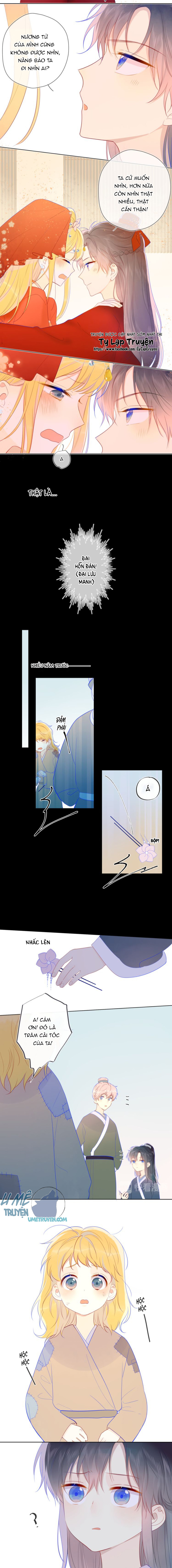 Vì Sao Của Tôi: Chapter 58