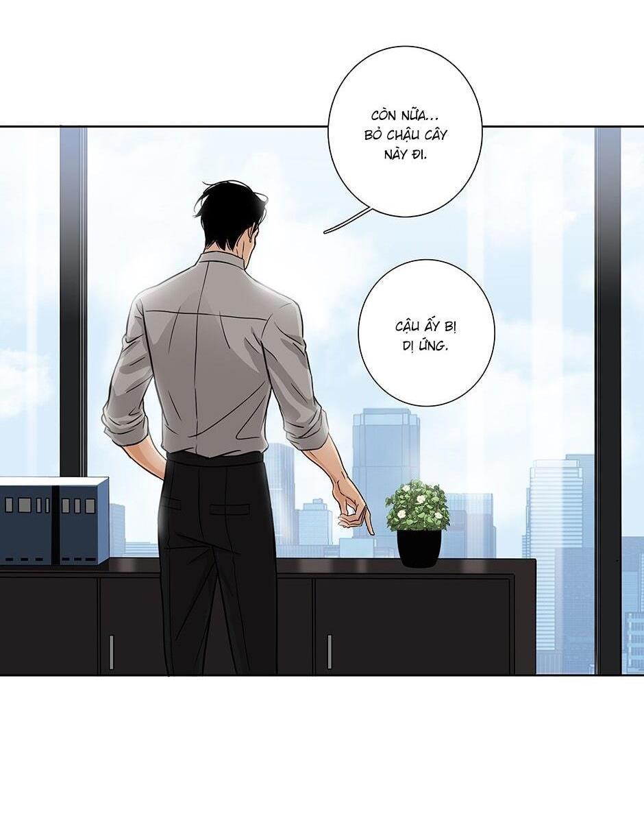 Đừng Chạm Vào Tim Tôi: Chapter 1