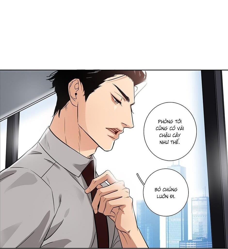 Đừng Chạm Vào Tim Tôi: Chapter 1