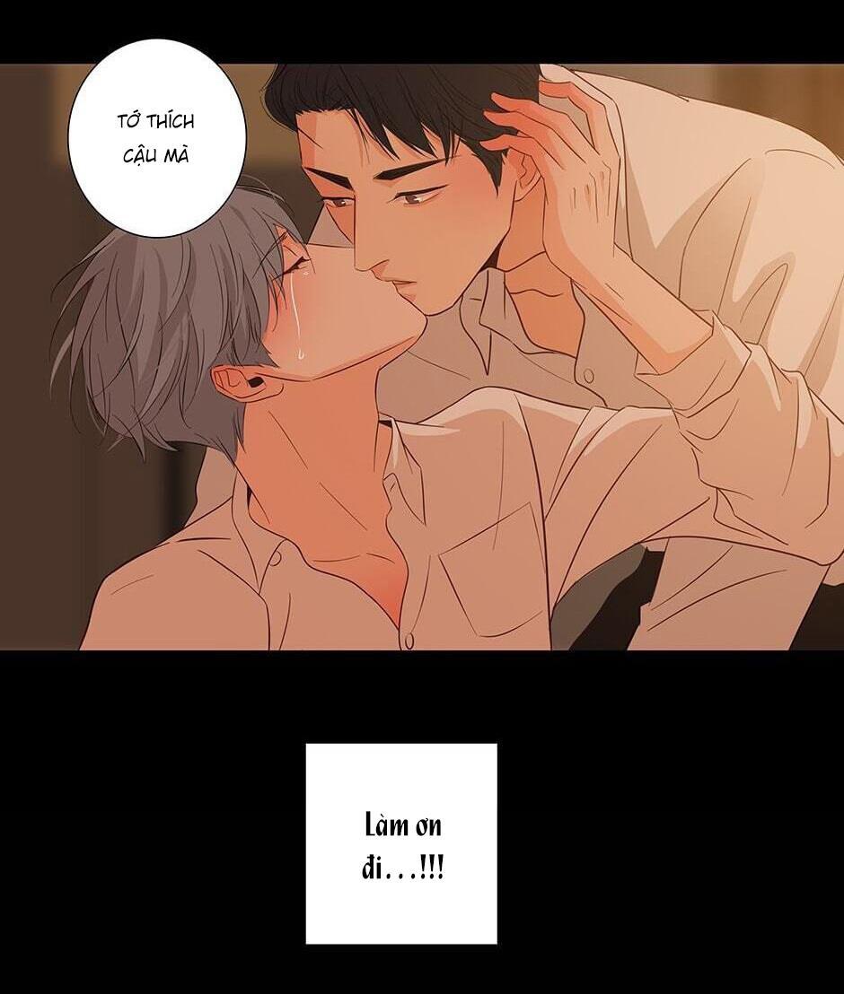Đừng Chạm Vào Tim Tôi: Chapter 11