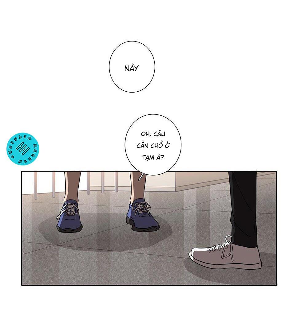 Đừng Chạm Vào Tim Tôi: Chapter 11