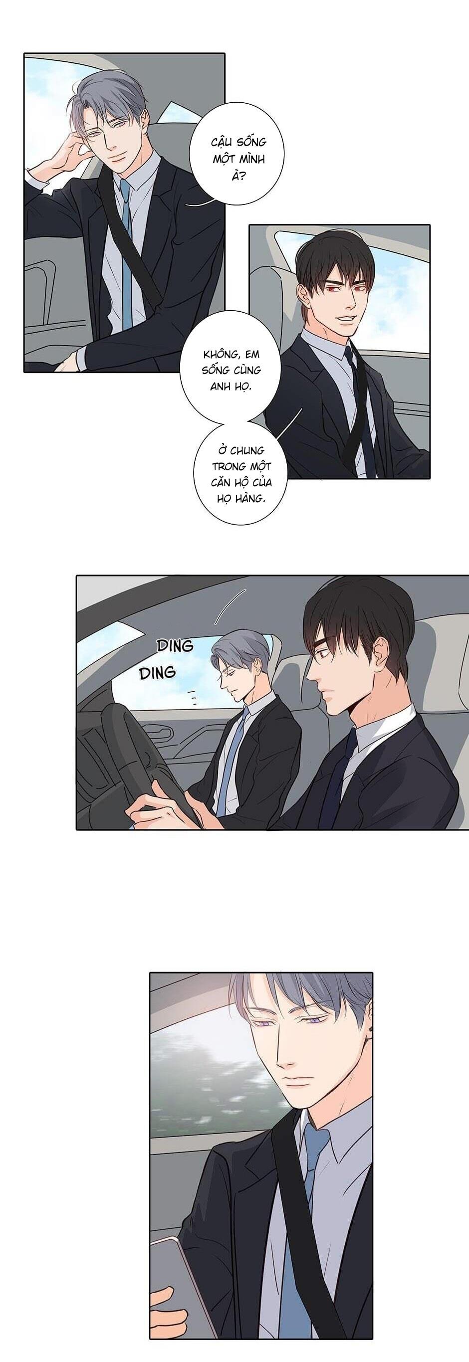 Đừng Chạm Vào Tim Tôi: Chapter 19