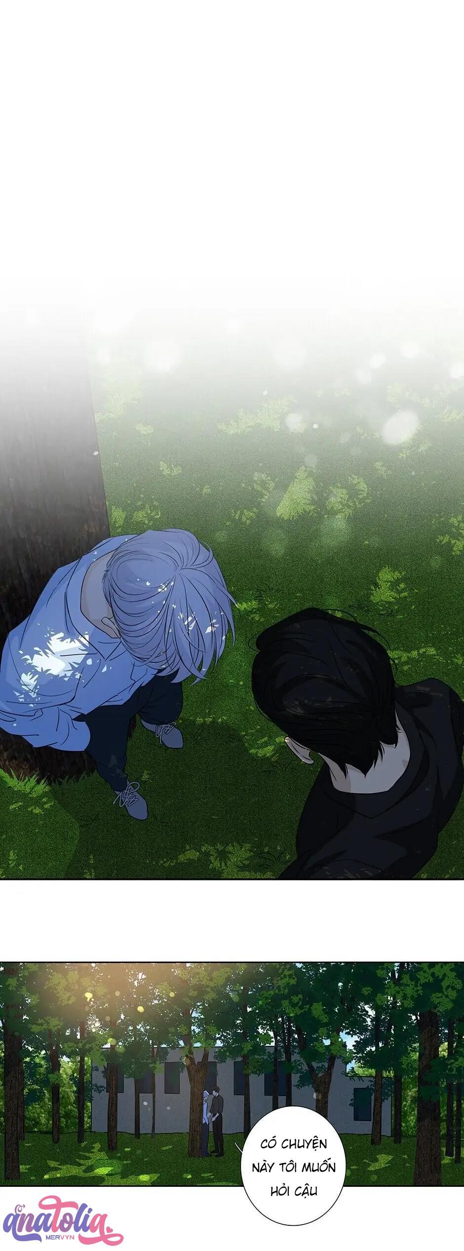Đừng Chạm Vào Tim Tôi: Chapter 39