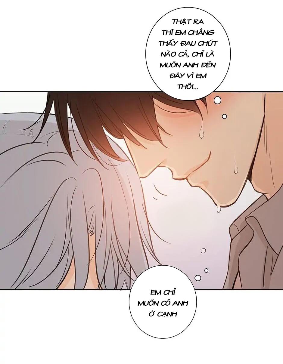 Đừng Chạm Vào Tim Tôi: Chapter 42