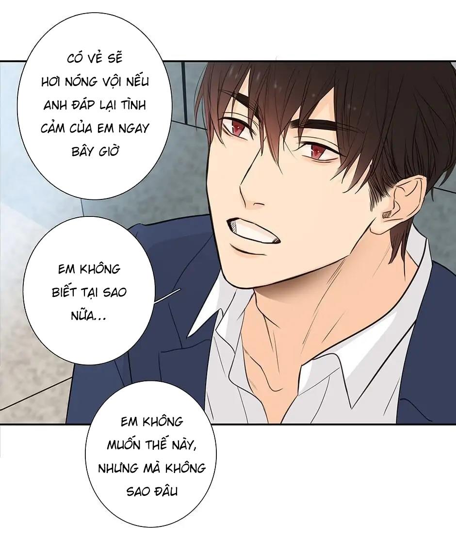Đừng Chạm Vào Tim Tôi: Chapter 42