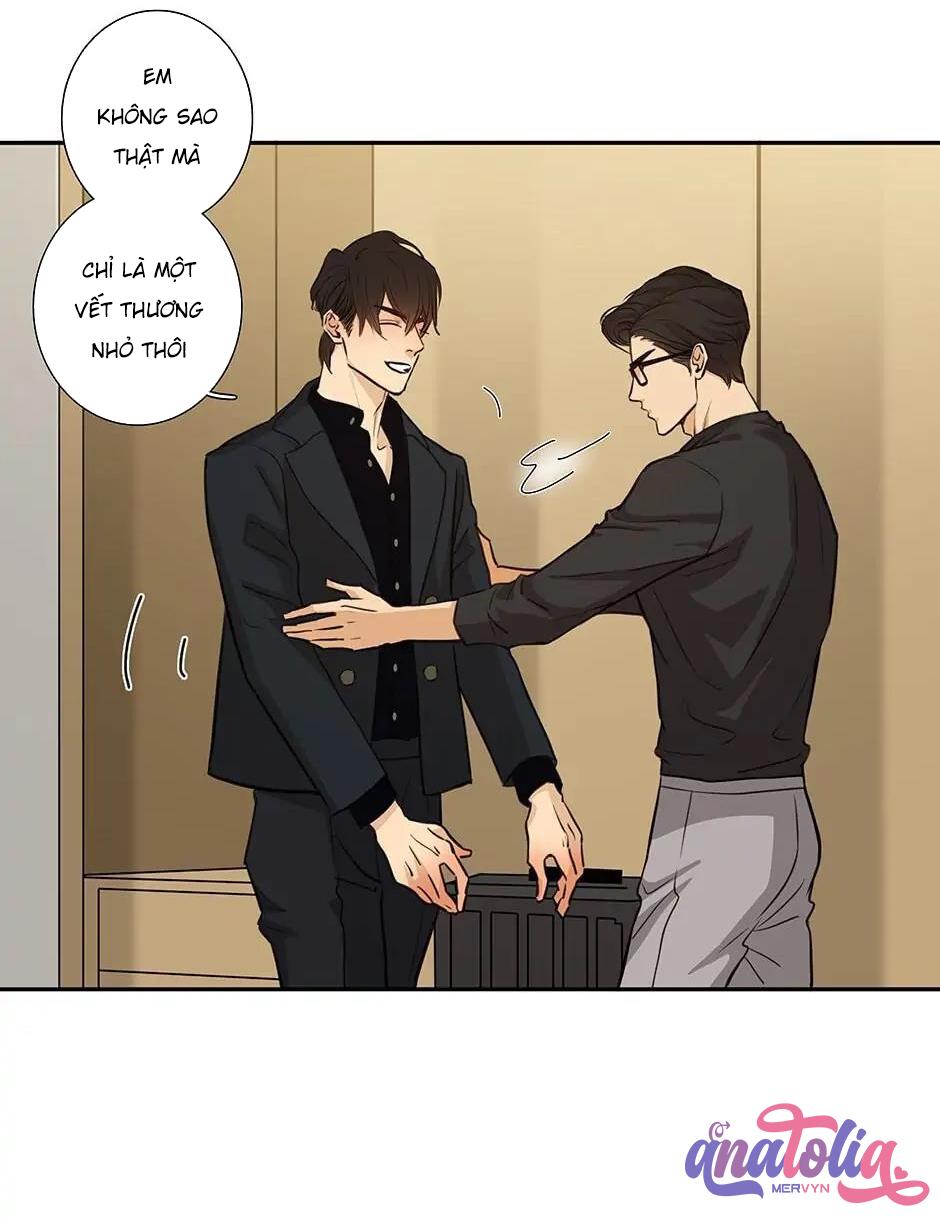 Đừng Chạm Vào Tim Tôi: Chapter 45