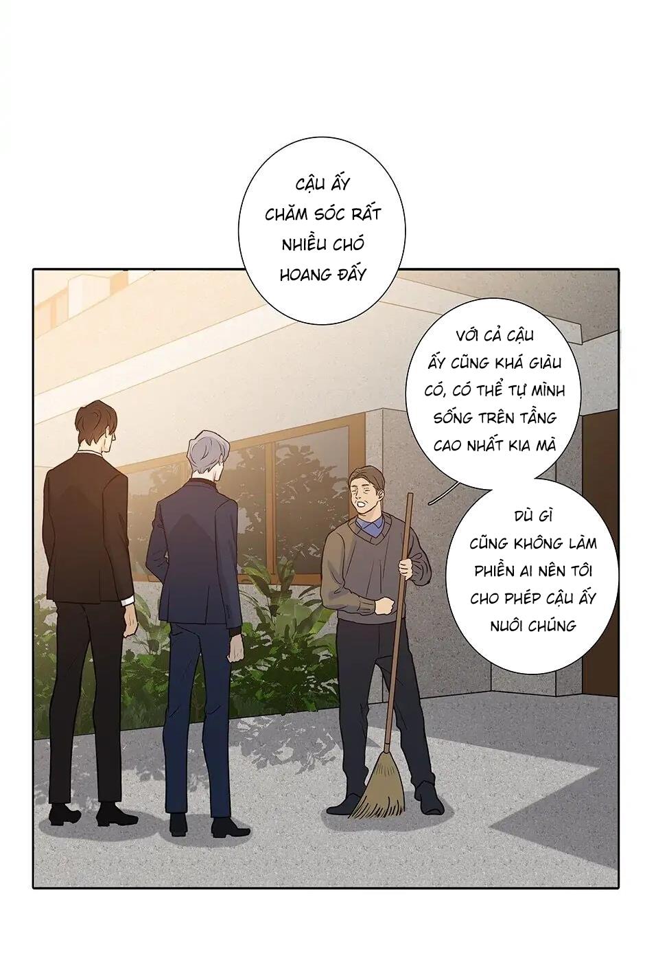 Đừng Chạm Vào Tim Tôi: Chapter 46