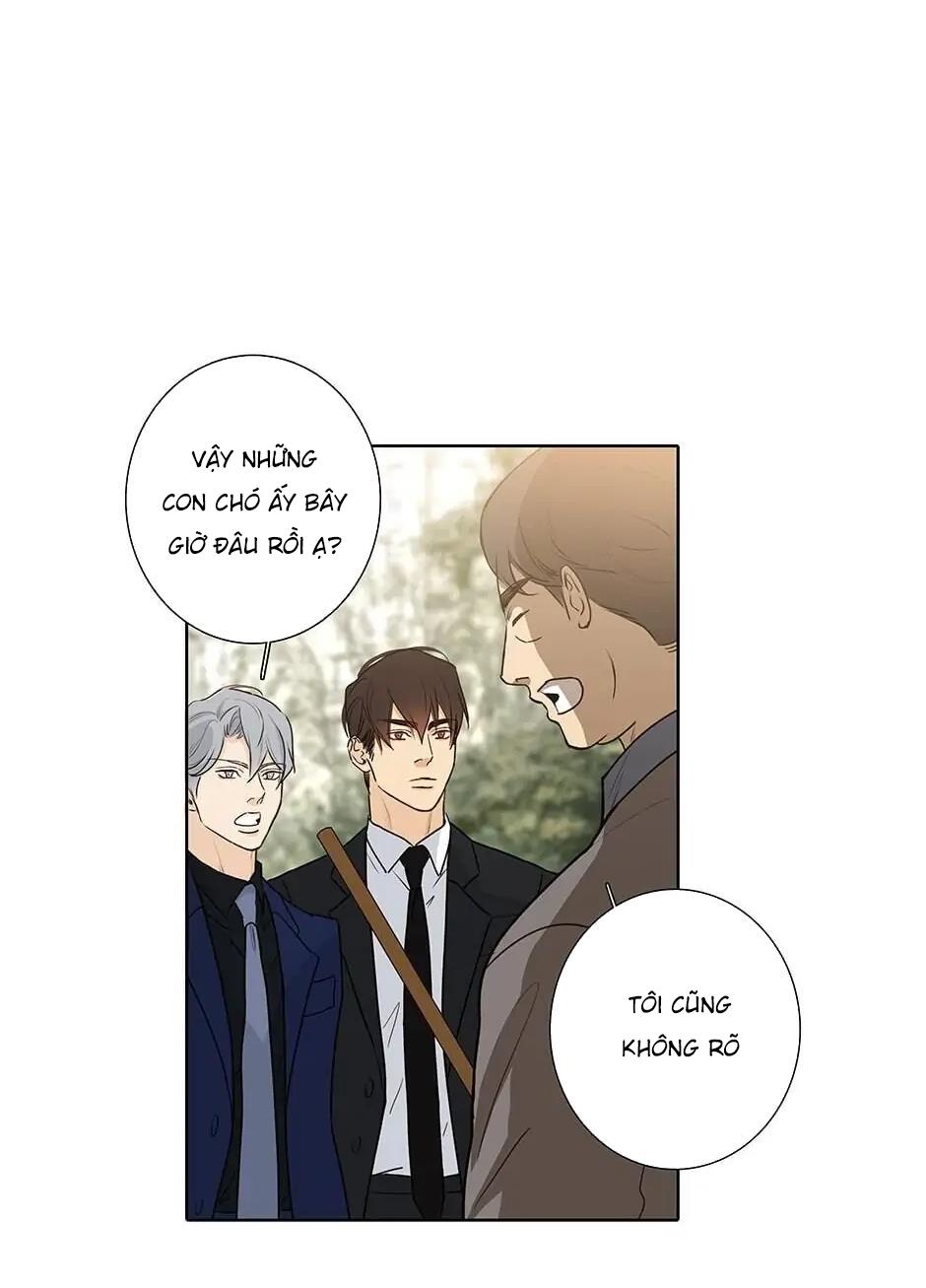 Đừng Chạm Vào Tim Tôi: Chapter 46