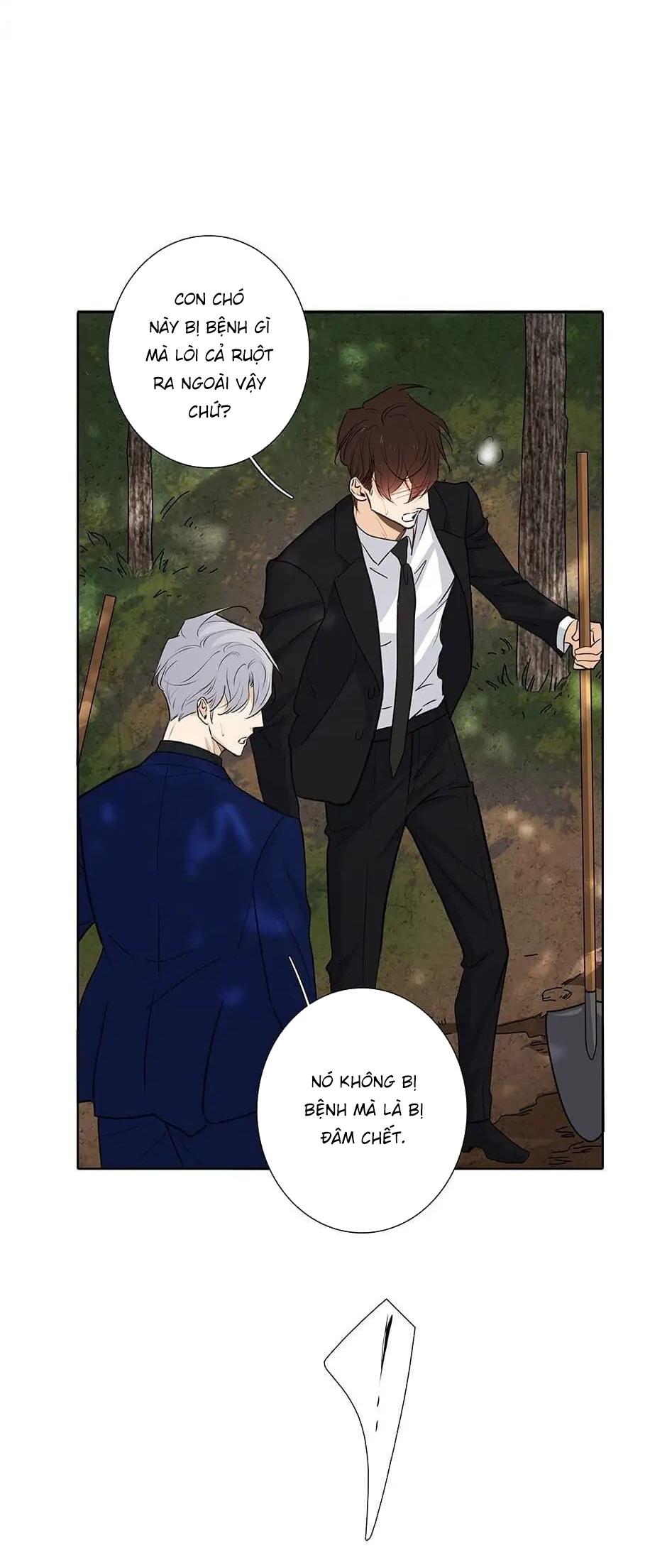 Đừng Chạm Vào Tim Tôi: Chapter 47