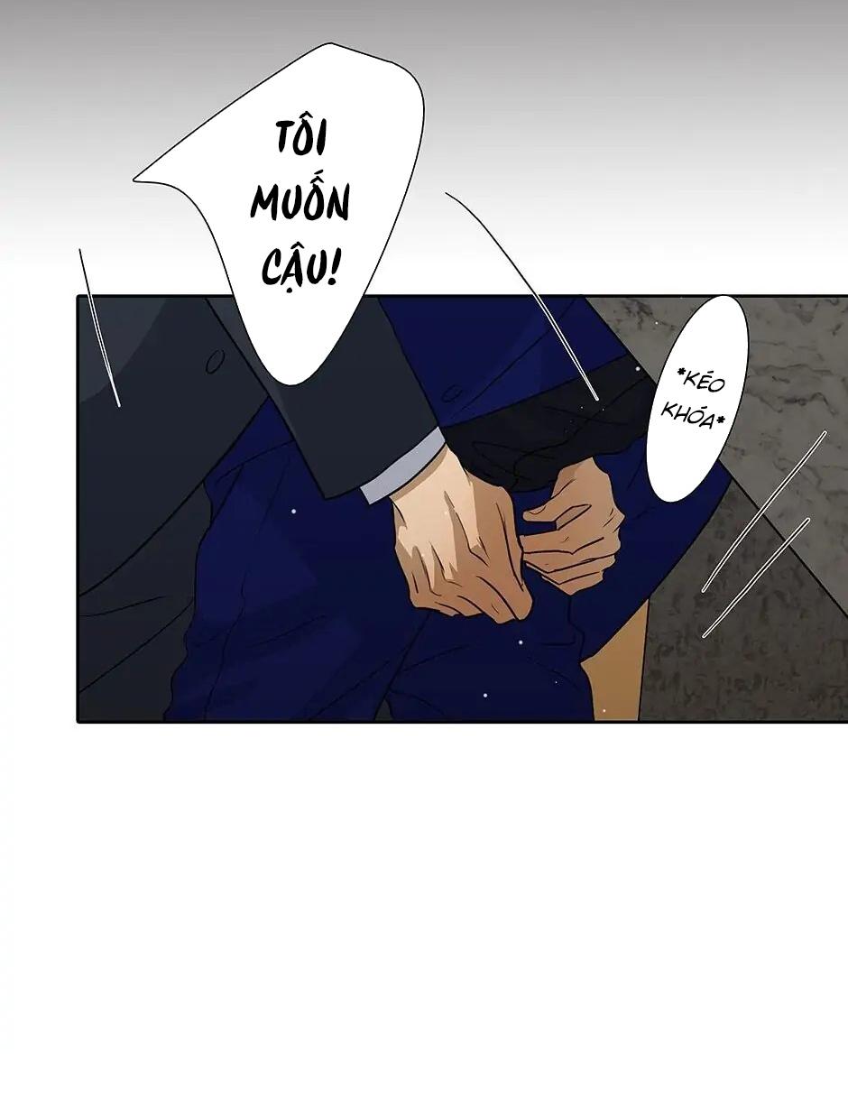 Đừng Chạm Vào Tim Tôi: Chapter 48