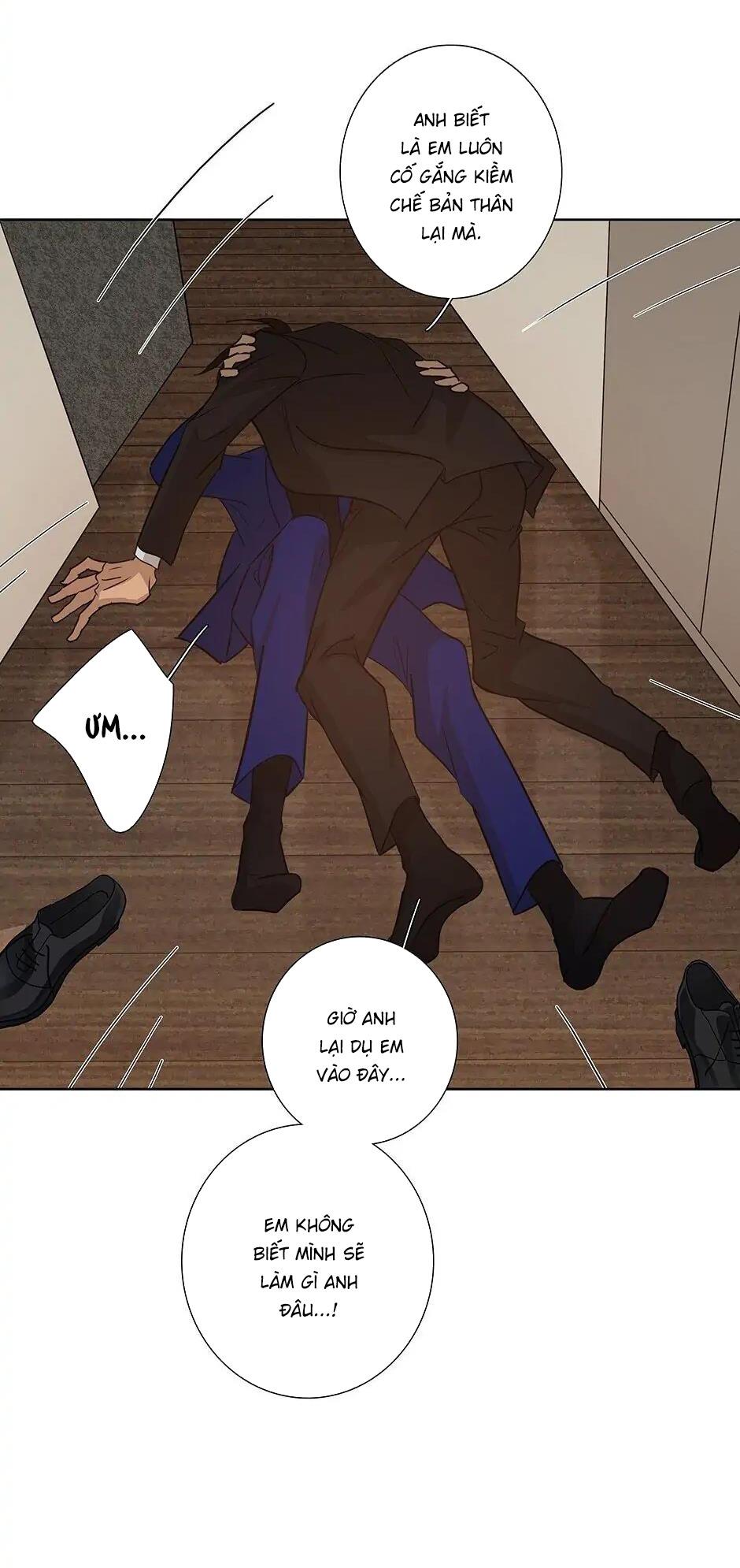 Đừng Chạm Vào Tim Tôi: Chapter 51