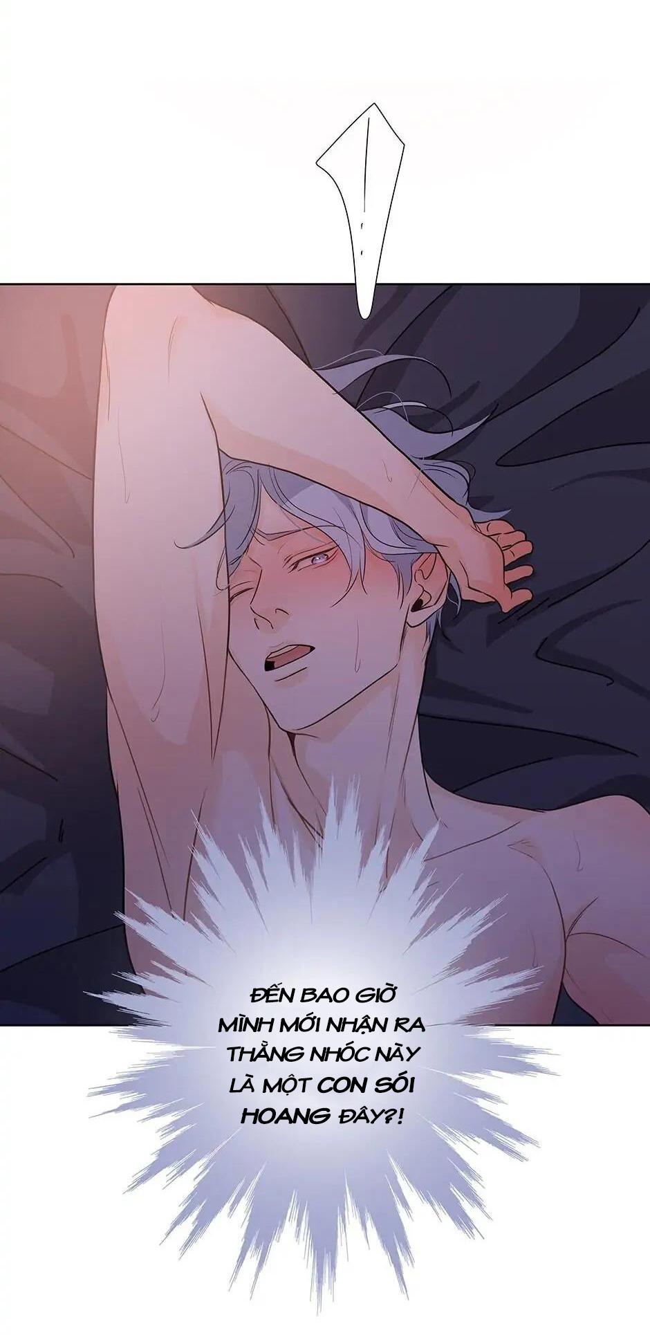 Đừng Chạm Vào Tim Tôi: Chapter 51