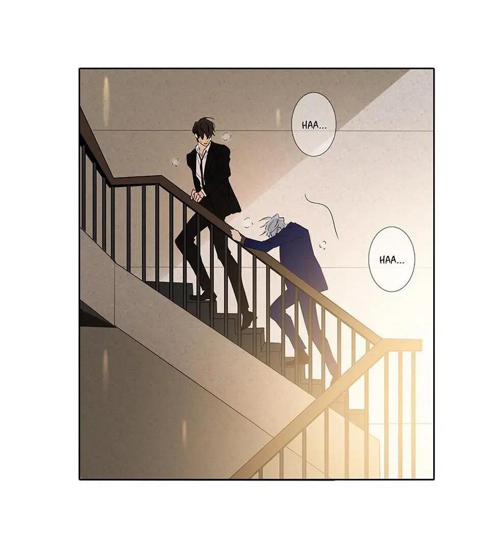 Đừng Chạm Vào Tim Tôi: Chapter 51