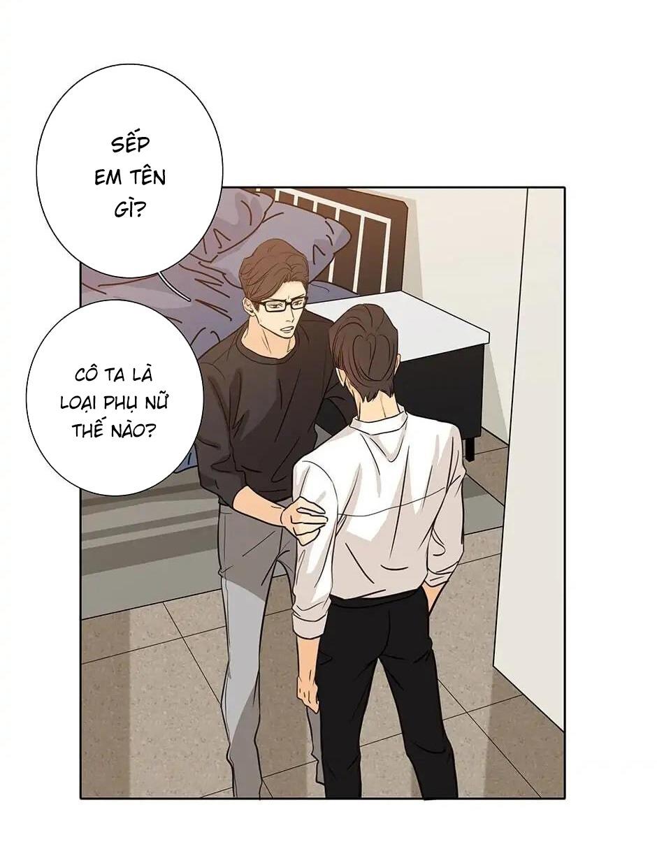 Đừng Chạm Vào Tim Tôi: Chapter 56