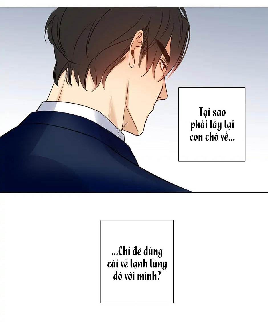 Đừng Chạm Vào Tim Tôi: Chapter 60