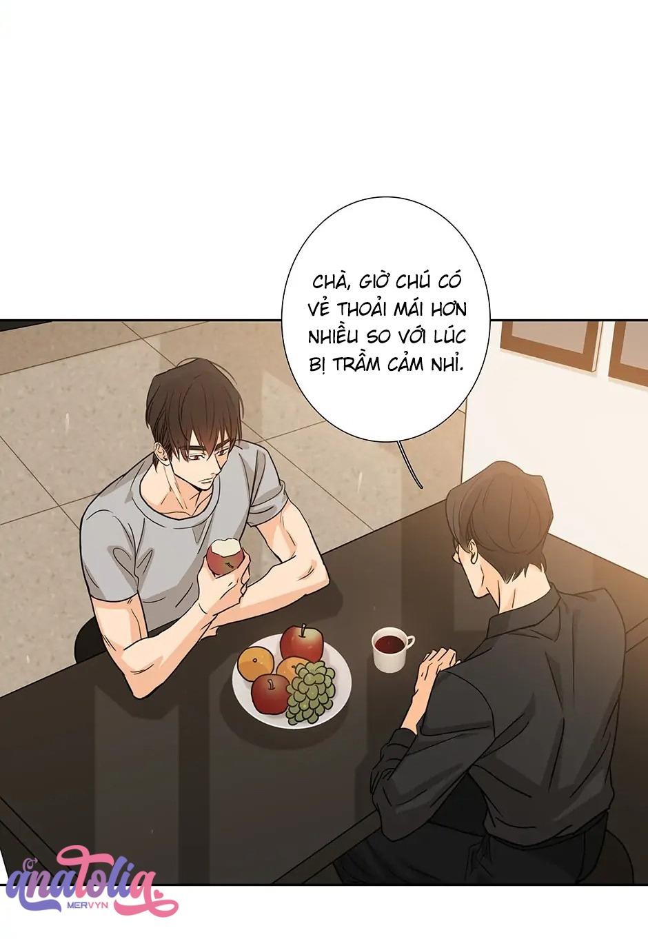 Đừng Chạm Vào Tim Tôi: Chapter 62