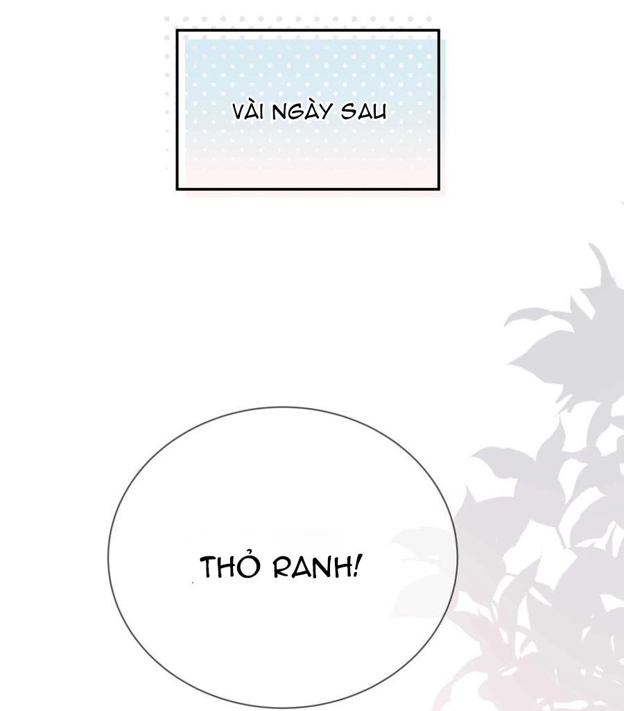 Quan Tâm Em Đi: Chapter 19