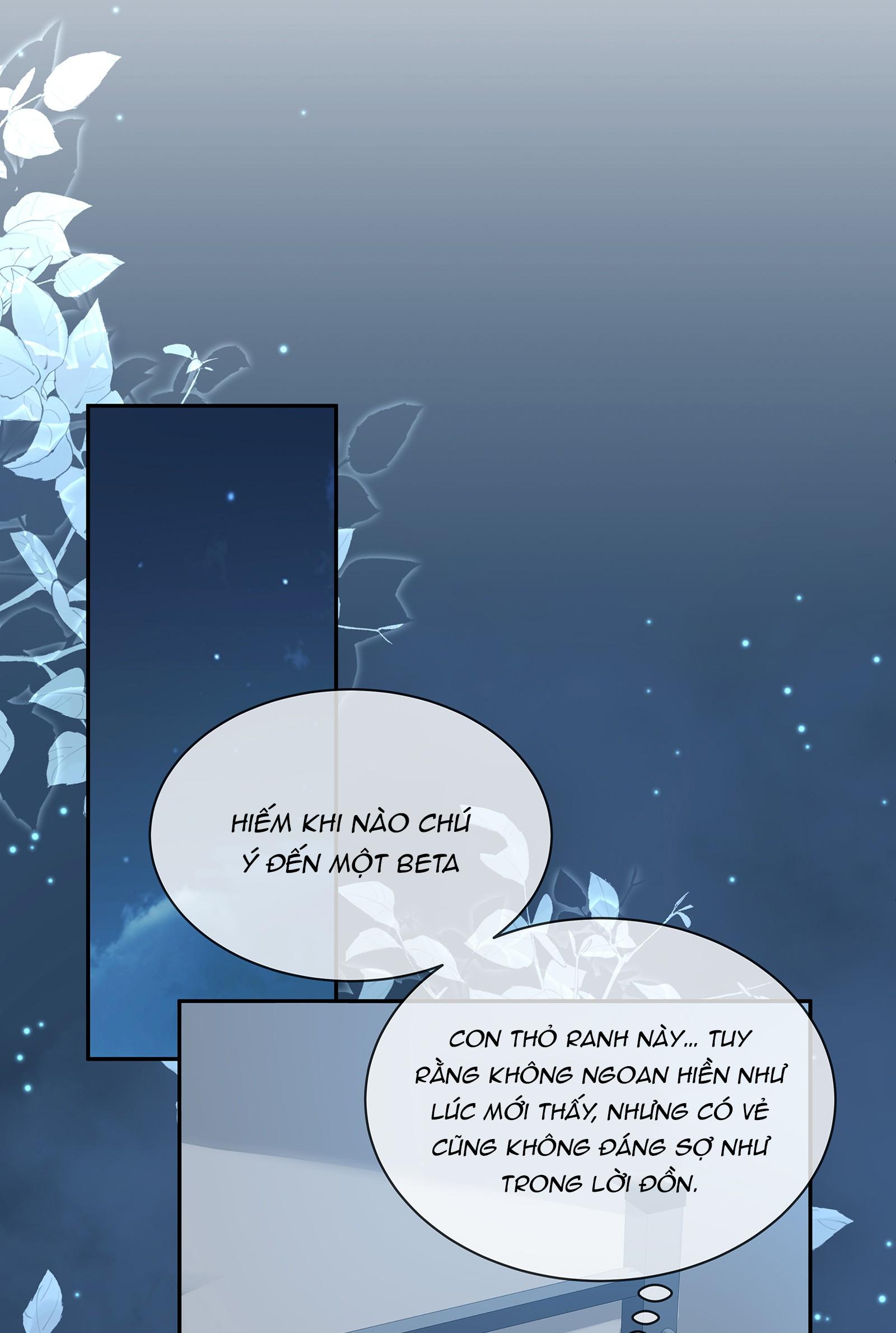 Quan Tâm Em Đi: Chapter 4