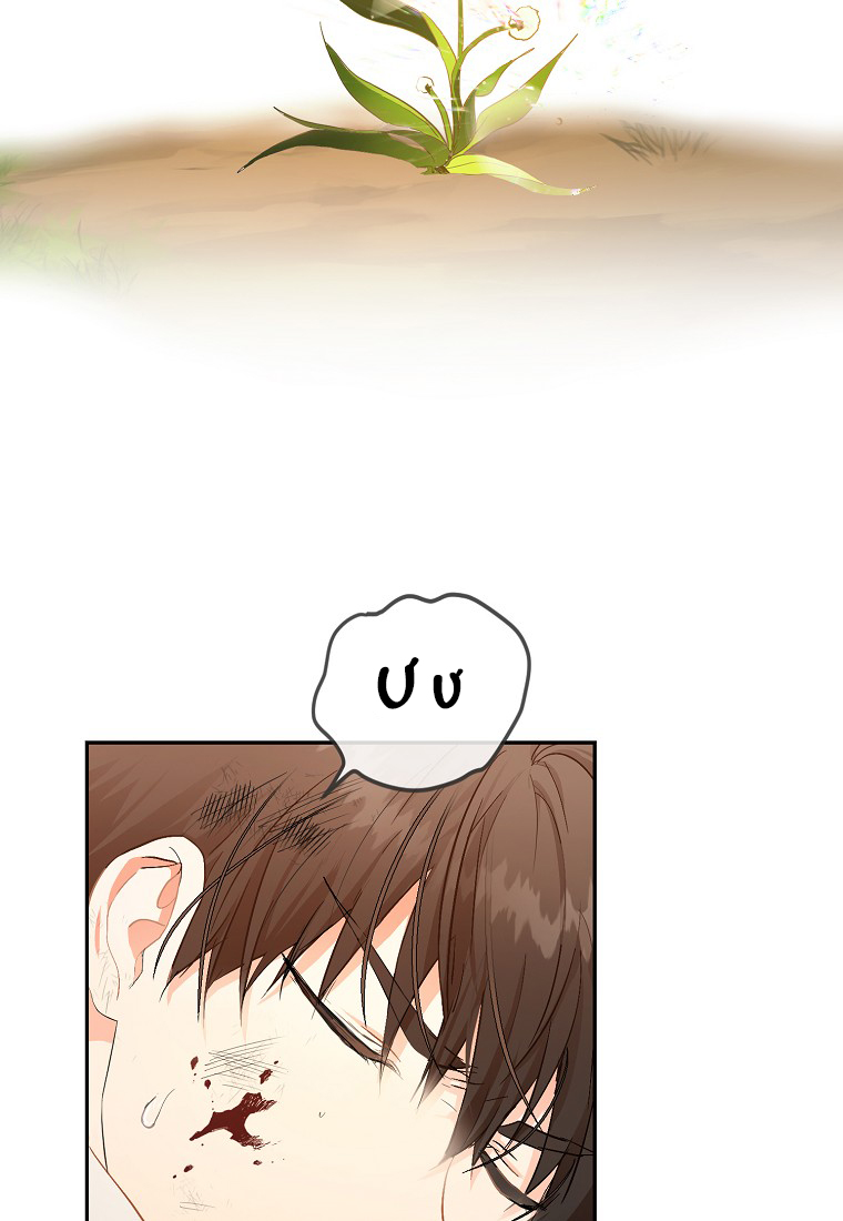 Trở Thành Vợ Của Nam Chính Tiểu Thuyết: Chapter 5.1