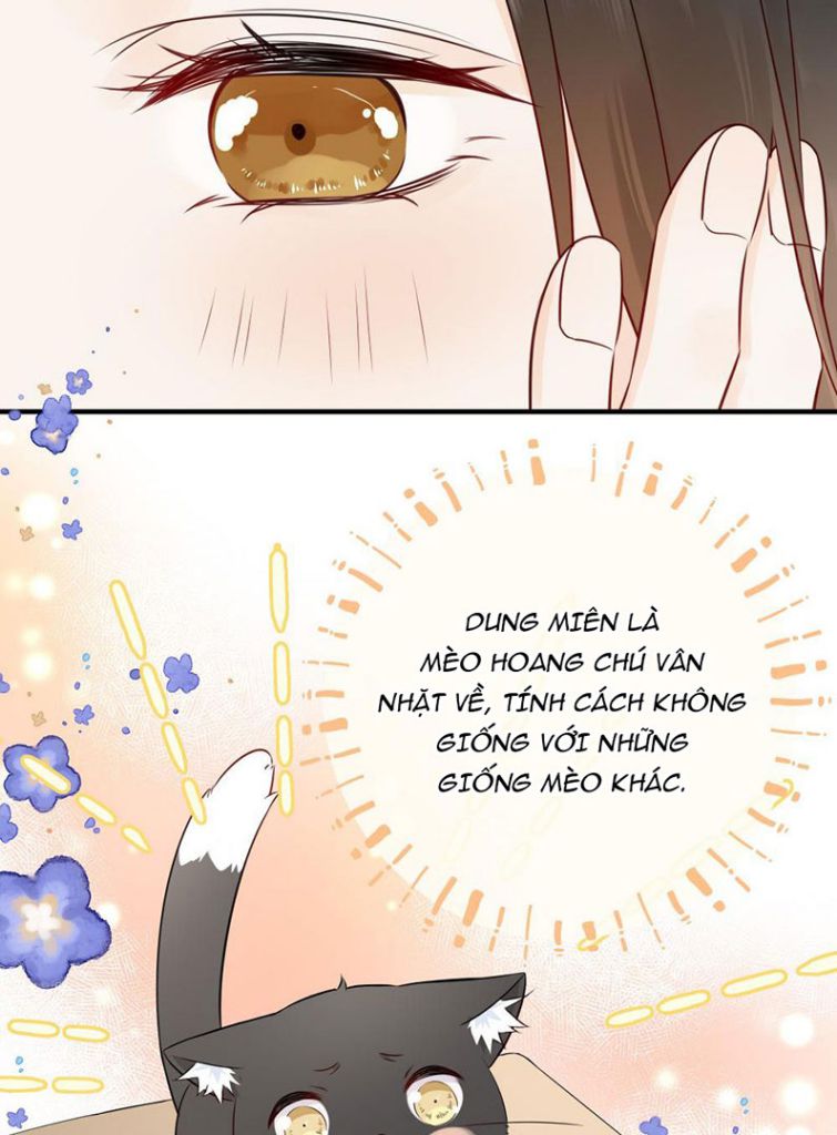Dinh Dưỡng Quá Tốt: Chapter 12