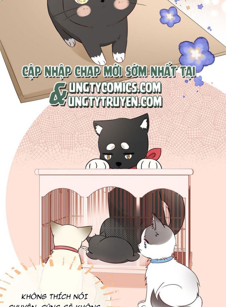 Dinh Dưỡng Quá Tốt: Chapter 12