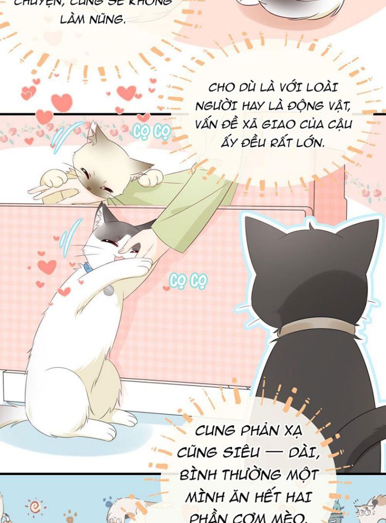 Dinh Dưỡng Quá Tốt: Chapter 12