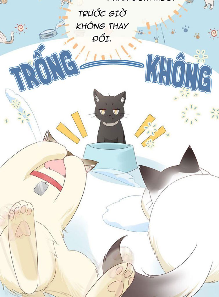 Dinh Dưỡng Quá Tốt: Chapter 12