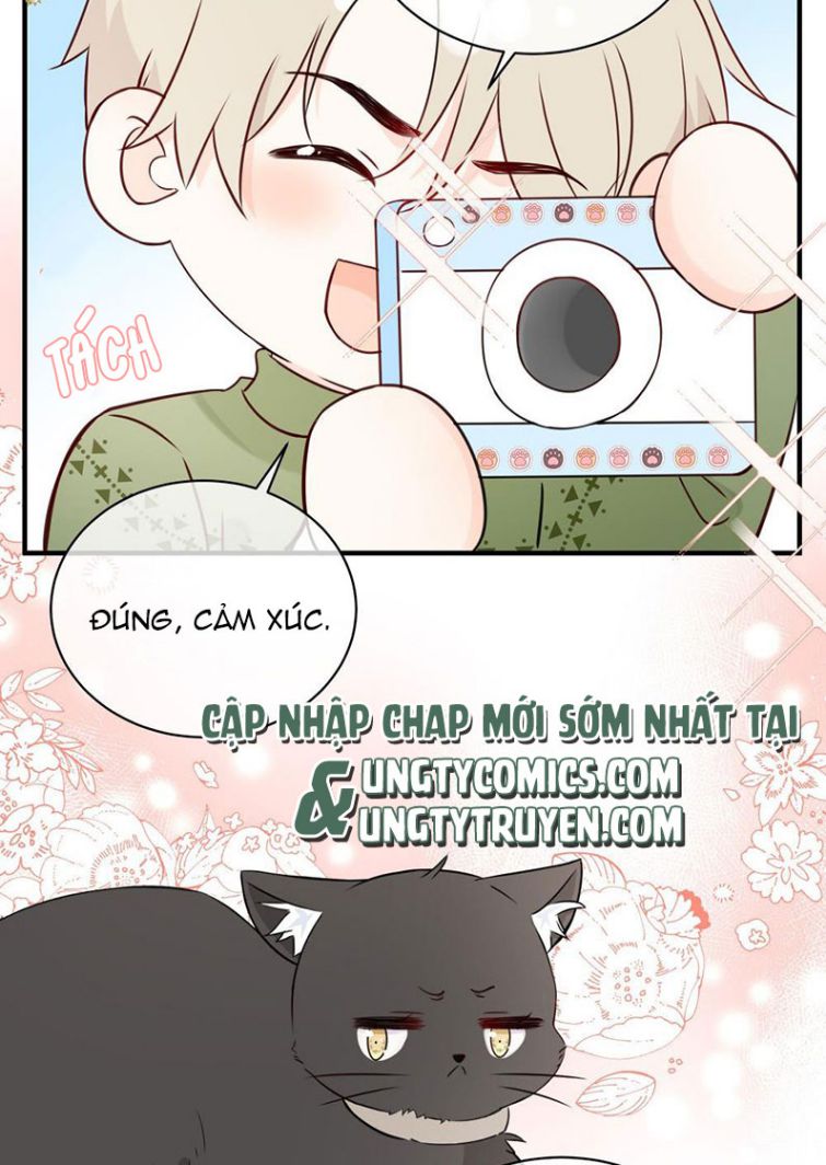 Dinh Dưỡng Quá Tốt: Chapter 12