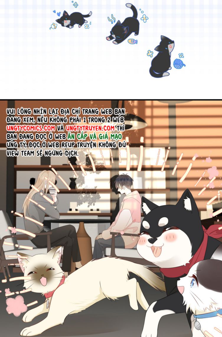 Dinh Dưỡng Quá Tốt: Chapter 16