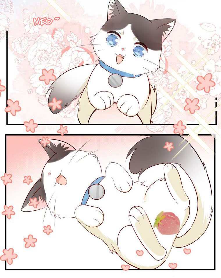 Dinh Dưỡng Quá Tốt: Chapter 18