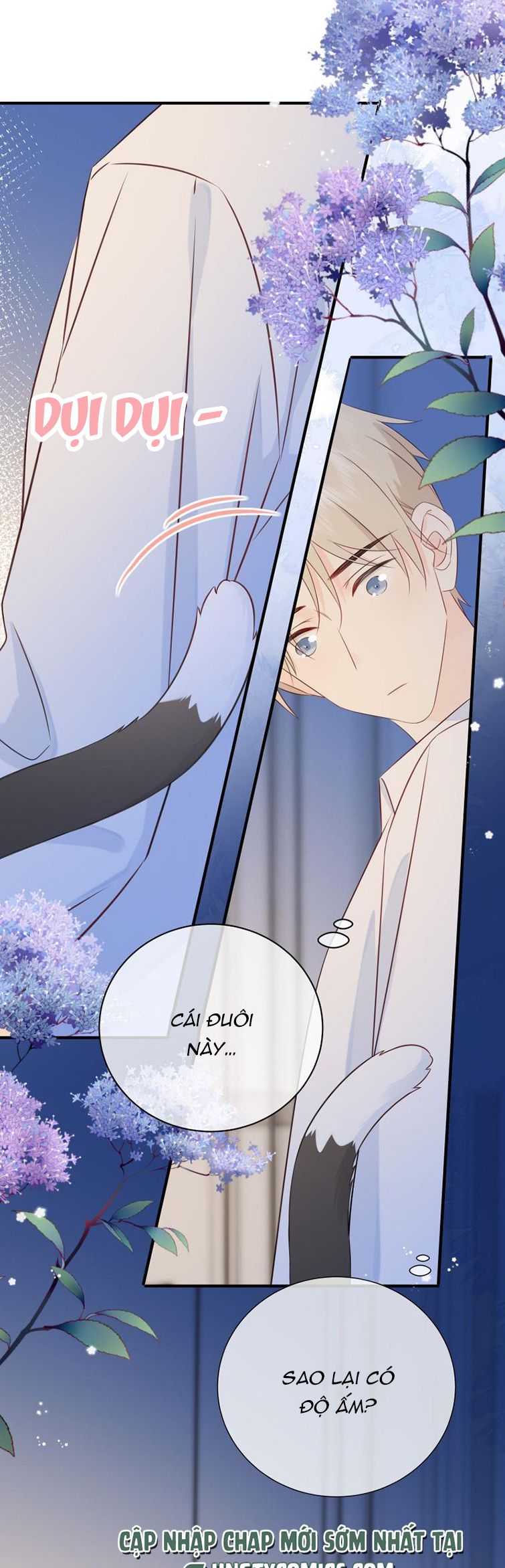 Dinh Dưỡng Quá Tốt: Chapter 41
