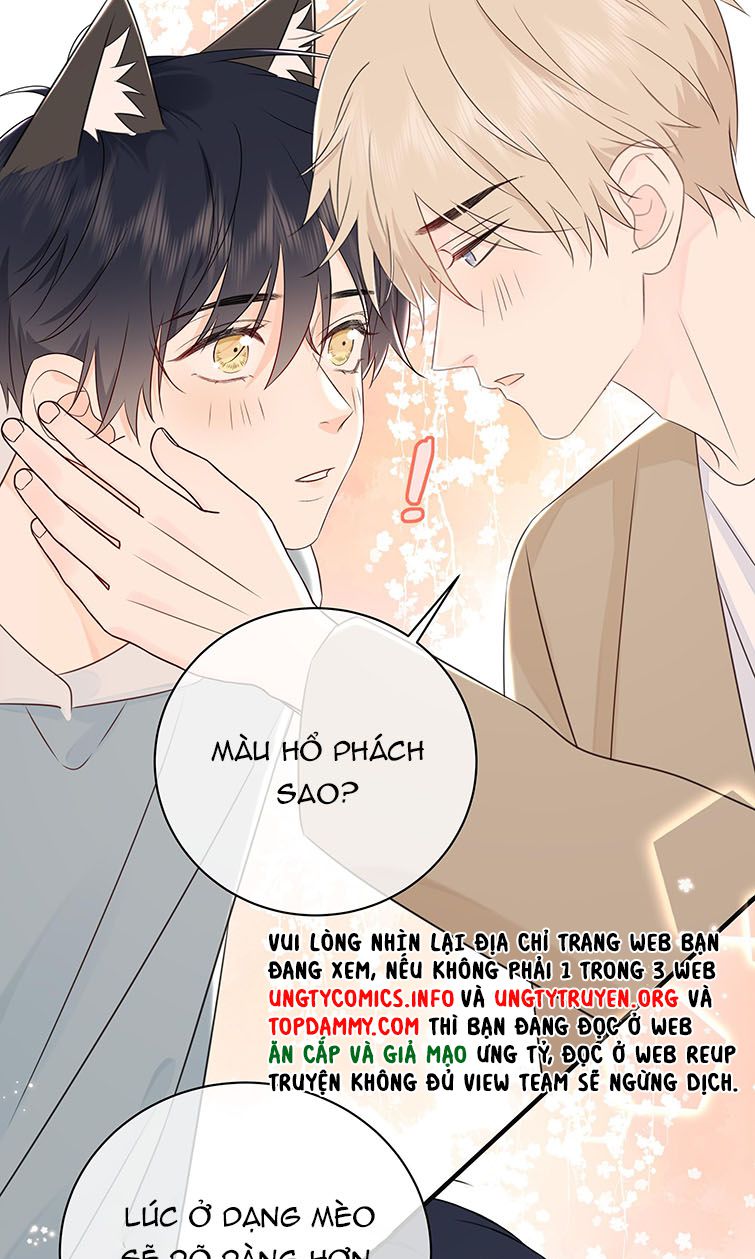 Dinh Dưỡng Quá Tốt: Chapter 43