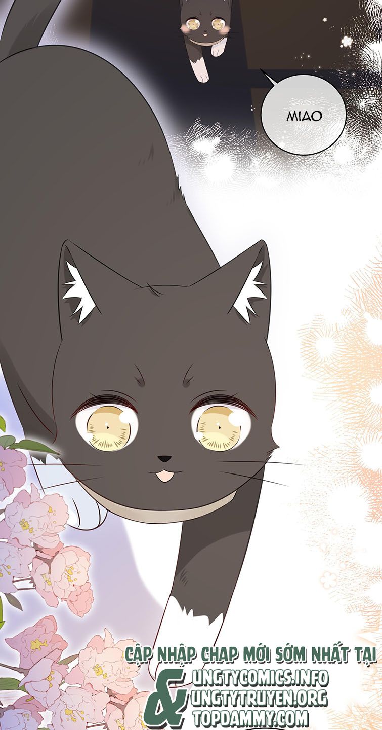 Dinh Dưỡng Quá Tốt: Chapter 43