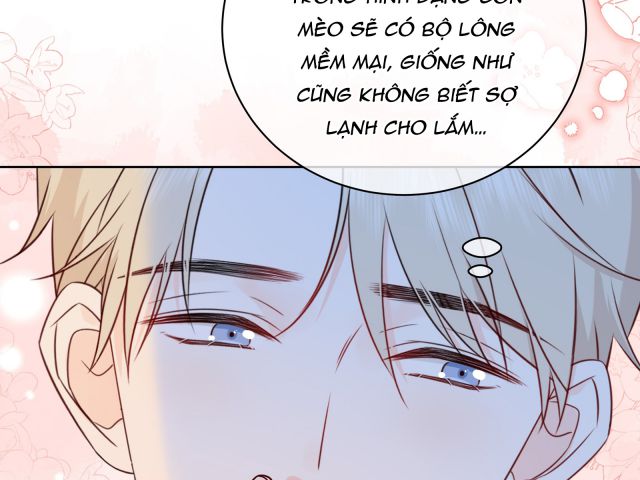 Dinh Dưỡng Quá Tốt: Chapter 47