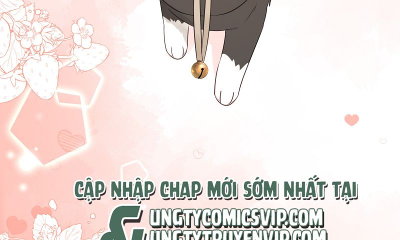 Dinh Dưỡng Quá Tốt: Chapter 47