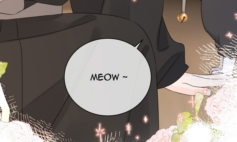 Dinh Dưỡng Quá Tốt: Chapter 47