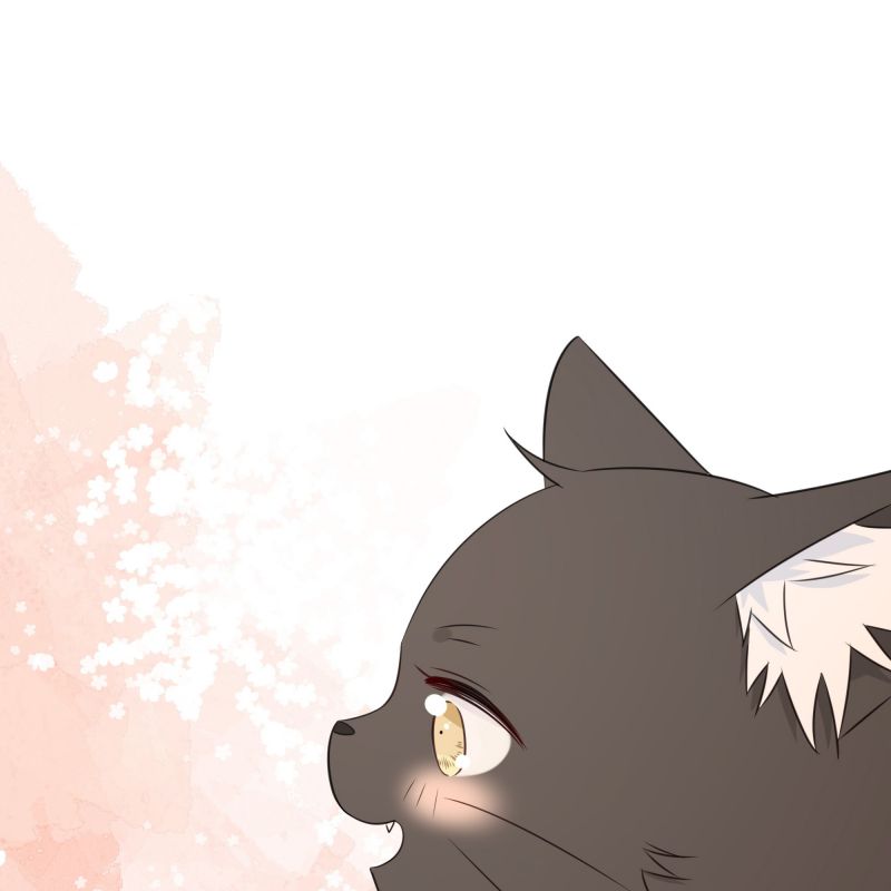 Dinh Dưỡng Quá Tốt: Chapter 47