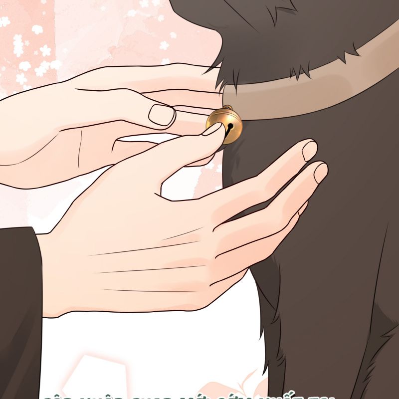 Dinh Dưỡng Quá Tốt: Chapter 47
