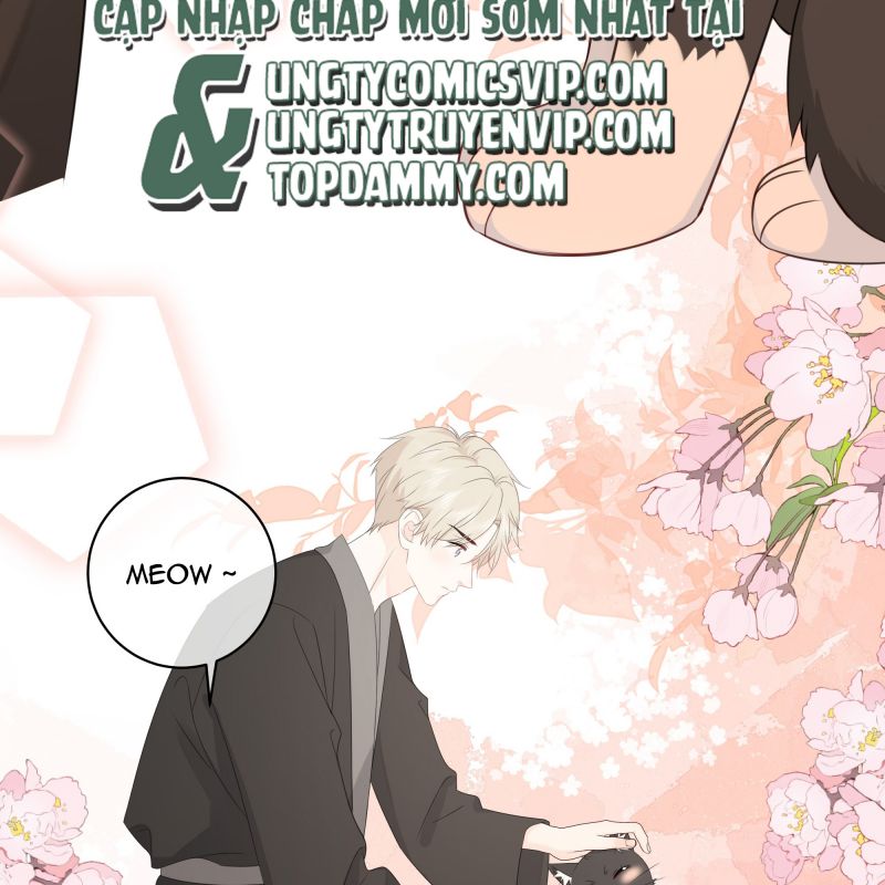 Dinh Dưỡng Quá Tốt: Chapter 47
