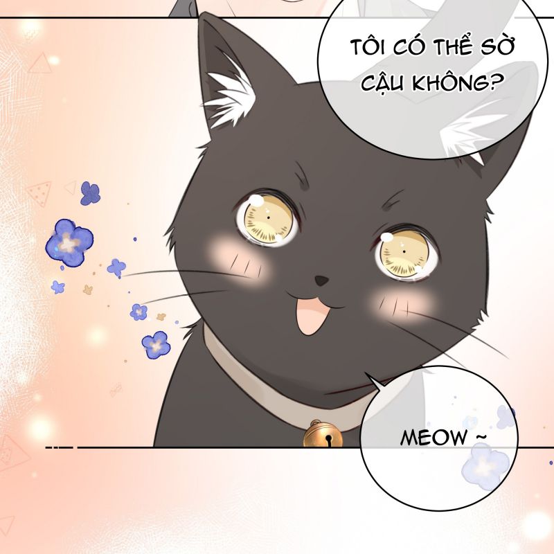 Dinh Dưỡng Quá Tốt: Chapter 47