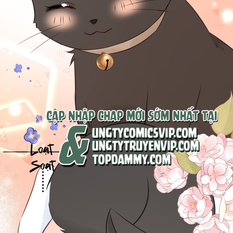 Dinh Dưỡng Quá Tốt: Chapter 47