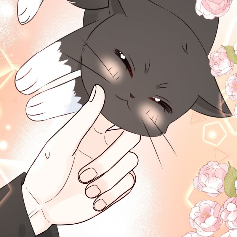 Dinh Dưỡng Quá Tốt: Chapter 47