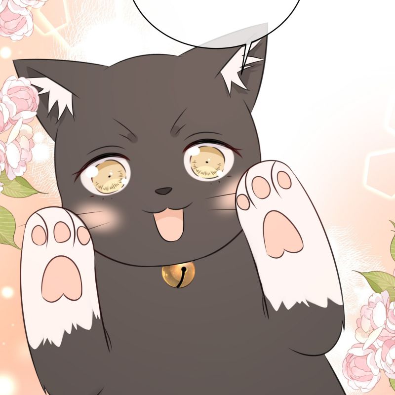 Dinh Dưỡng Quá Tốt: Chapter 47