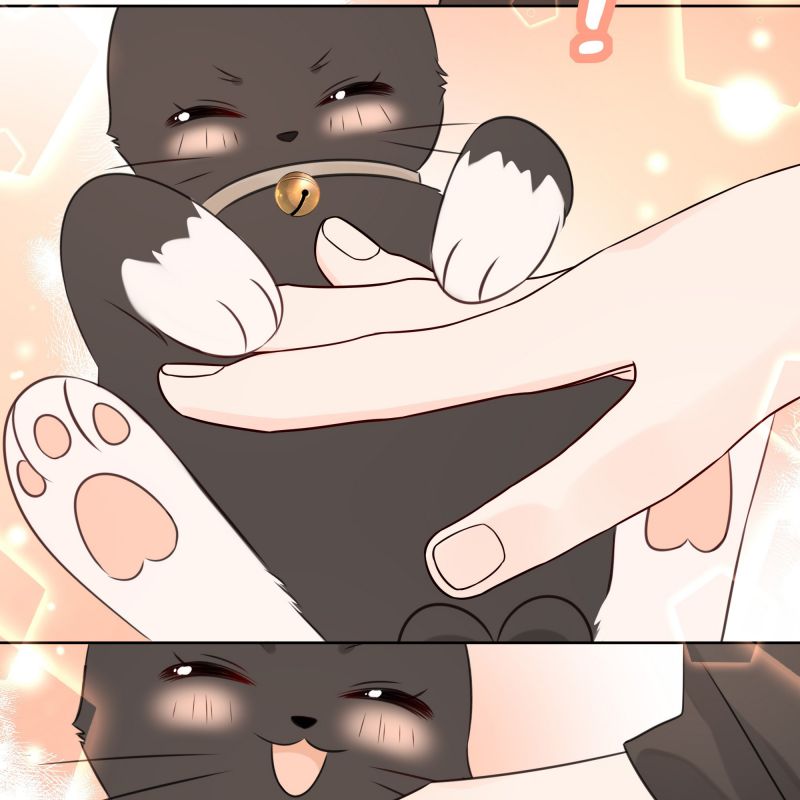 Dinh Dưỡng Quá Tốt: Chapter 47