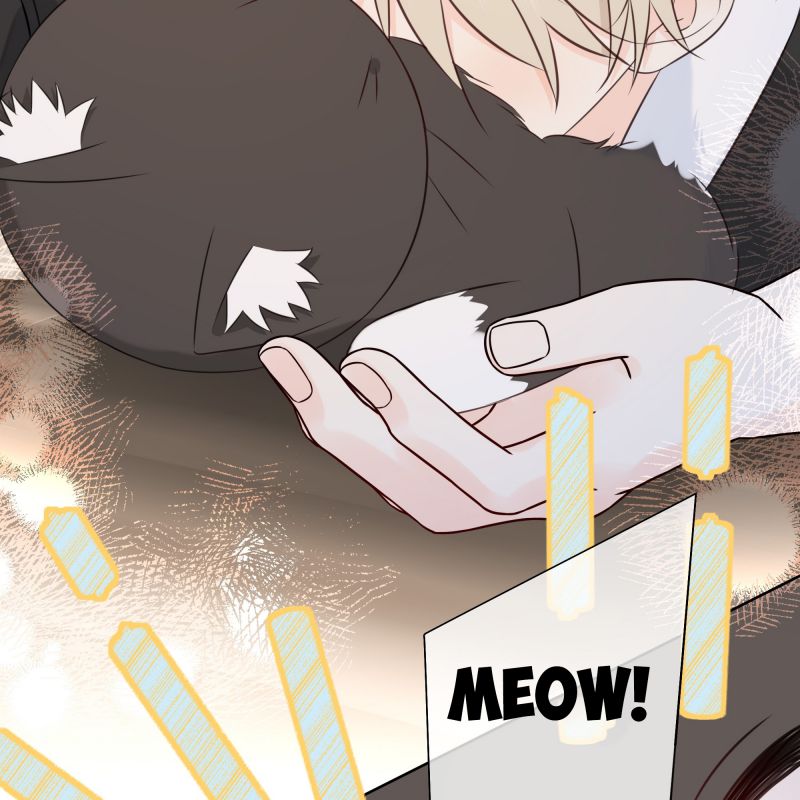 Dinh Dưỡng Quá Tốt: Chapter 47