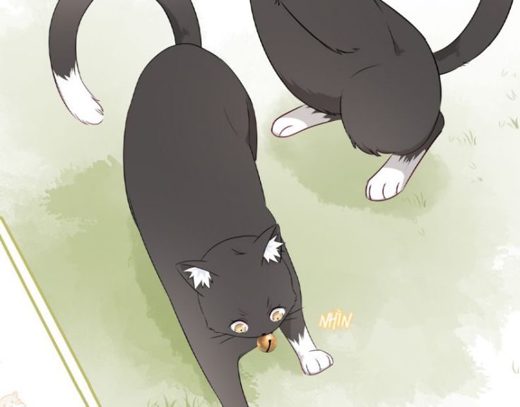 Dinh Dưỡng Quá Tốt: Chapter 6