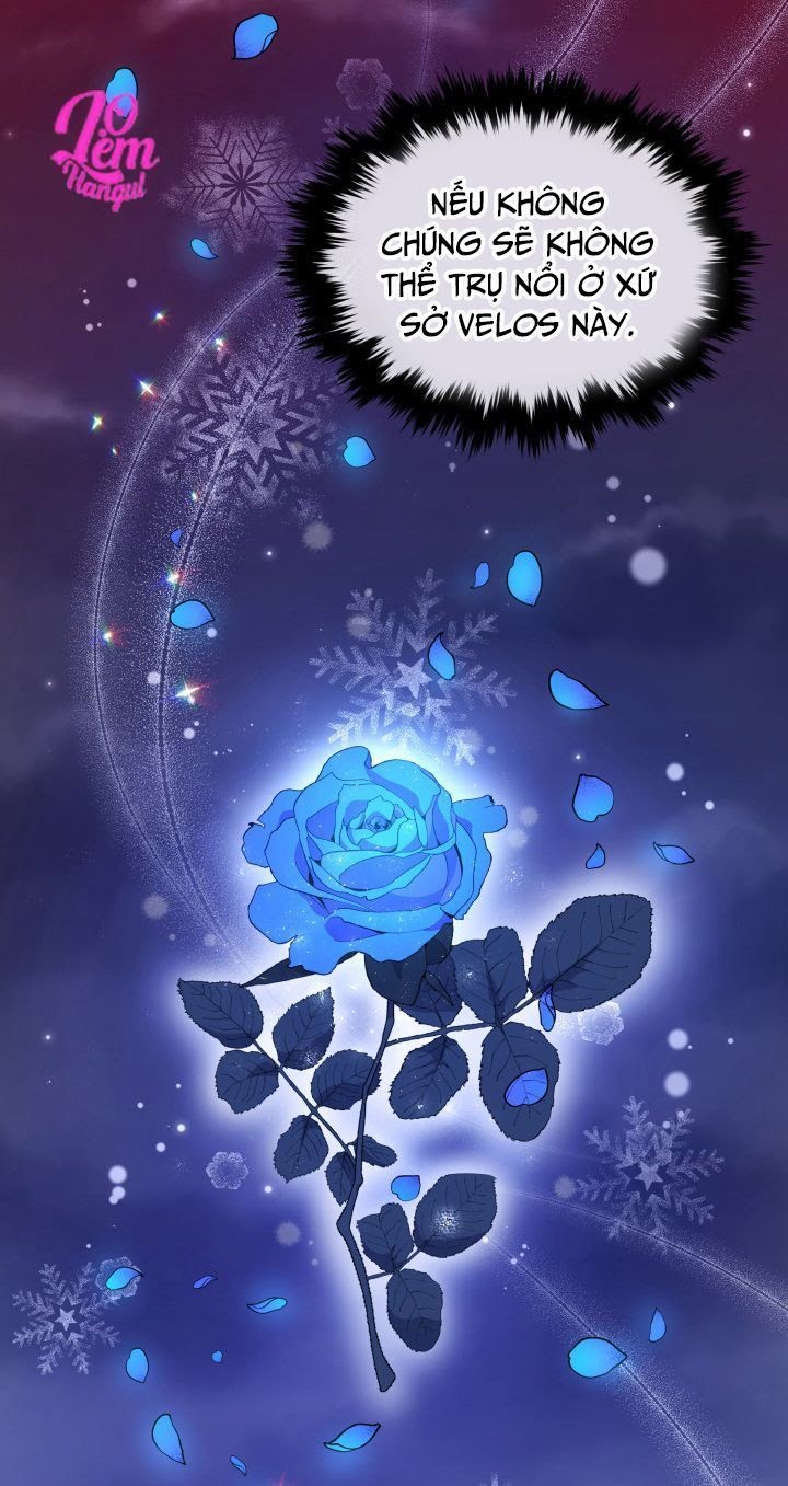 Hộ Vệ Của Bạo Chúa Là Ác Nữ: Chapter 14