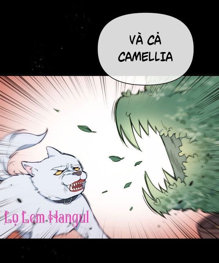 Hộ Vệ Của Bạo Chúa Là Ác Nữ: Chapter 18