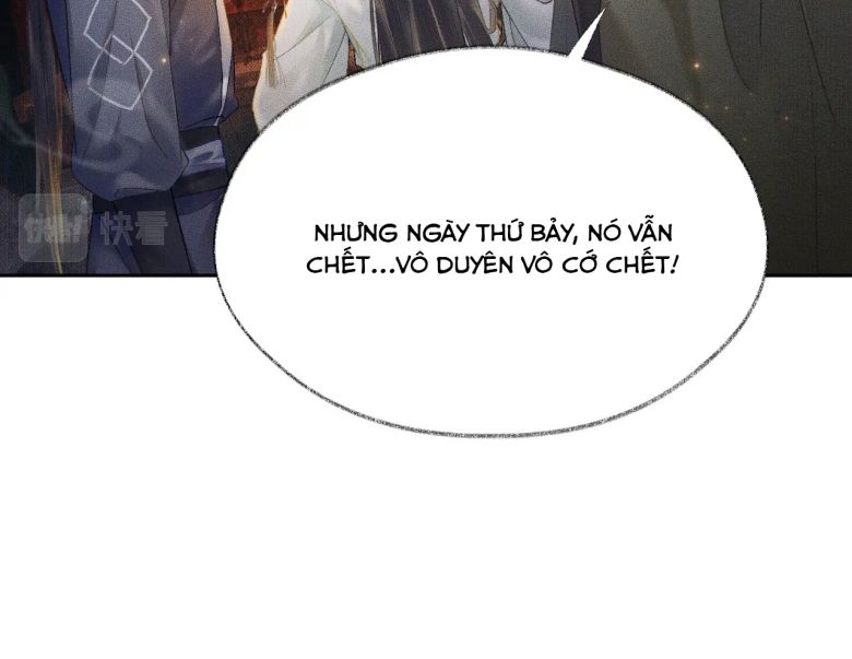 Husky Và Sư Tôn Mèo Trắng Của Hắn: Chapter 13