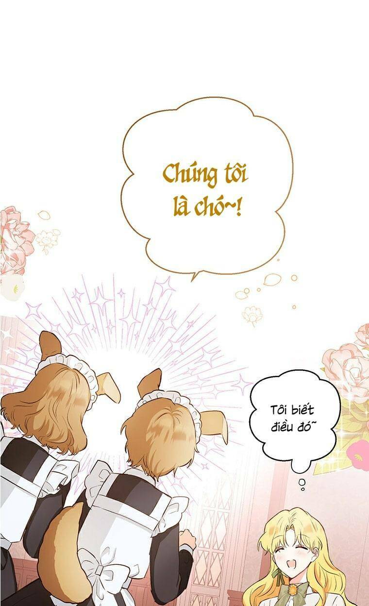 Công Tước, Đó Là Anh Trai Tôi: Chapter 12